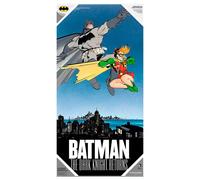 Glass poster SD Toys DC Comics Batman Multicolore 30x60 cm