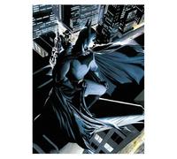 Glass poster SD Toys DC Comics Batman Noir 30x40 cm