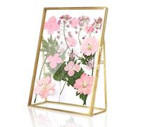 Glass Pressed Flower Frame, Elegant Vintage Gold Border Metal Glass Photo Frame for Dried Plant Specimen Display, 15.2x20.3cm, Brass and Glass, Desktop or Wall Decor for Living Room or Bedroom
