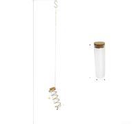 Glass Propagation Station For Indoor Plants With Wall Hanging Installation And Clear Modern Design Elements