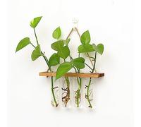 Glass Propagation Tubes, Wall Mounted Plant Propagation Station with 4 Test Tubes, Hanging Glass Hydroponic Planter, Hydroponic Plants Terrarium with Wooden Frame 4 Test Tubes Vase for Cuttings(Brown)