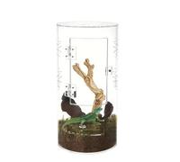 Glass Reptile Terrarium - Growth Mini reptile tank | Acrylic Feeding Box, Acrylic Transparent Habitat Terrarium Case, 20×12×12cm for Praying Mantis, Spiders, Lizards, Snails Geckos Centipede Ho