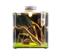 Glass Reptile Terrarium - Jumping Spider Recinsure | Reptile Habitat Tank | Clear Growth Terrarium with Mesh Lid | Multipurpose Pet Container for Tort Beetles