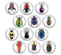 Glass Strong Animals Refrigerator Magnets,12 Pcs Decorative Magnets for Fridge Lovely Decor for Home Kitchen Office Whiteboard (Insect Refrigerator Magnet)