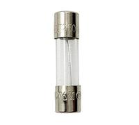 Glass T250mAL250V 5x20mm Slow-Blow for Speakers Fuse 250mA 10PCS 0.25AMP (T250mA)