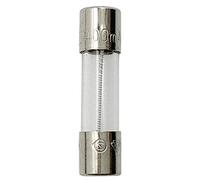 Glass T400mAL250V 5x20mm Slow-Blow for Speakers Fuse 400mA 10PCS (T400mA)