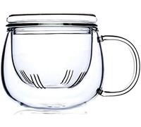 Glass Tea Cup with Infuser 12 OZ, Borosilicate Glass Mug, Durable Heat Resistant Suitable for Tea, Beverages, Ice Coffee