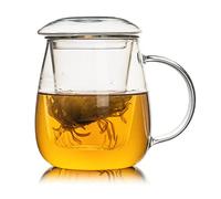 Glass Tea Cup with Infuser and Lid, 16.94 OZ Borosilicate Glass Mug, Durable Heat Resistant Suitable for Tea, Beverages, Ice Coffee