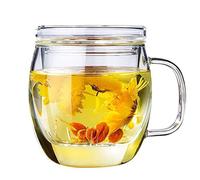 Glass Tea Cup with Infuser and Lid, 17 oz Clear Loose Leaf Tea Infuser Mug