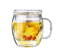Glass Tea Cup with Infuser and Lid, 17 oz Clear Loose Leaf Tea Infuser Mug