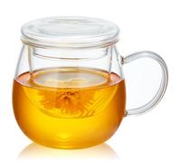 Glass Tea Cup with Infuser and Lid 500ml - Borosilicate Mug for Loose Leaf Tea, Infusion Mug with Glass Filter and Lid