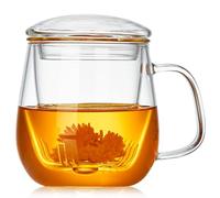 Glass Tea Cup with Infuser and Lid 500ml - Heat-Resistant Borosilicate Glass, Tea Infuser Mug for Loose Leaf, Stovetop Safe