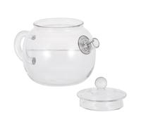 Glass Teapot 200ml High Borosilicate with Lid for Loose Tea