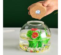 Glass Terrarium for Plants, 1600ml Plant Terrarium with Cork Lid, Large Opening Jar for Mini Succulents Landscape Building, Floral Displays, Craft Collections and Etc., Plant, Gl