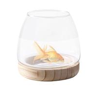 Glass Terrarium for Watering - Transparent Fish Vase with Natural Wood Stand, Decorative Glass Bowl for Home or Office | Wide Mouth Vase for Flowers, Mini Ser