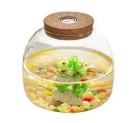 Glass Terrarium Jar, 1600ml Large Opening Plant Terrarium with Cork Lid, Mini Succulents Landscape Glass Bottle for Floral Displays, Craft Collections
