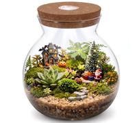 Glass Terrarium Jar with Led Light, Closed Terrarium Jar with Lid for Moss, Succulents and Betta Fish Tank, Large Clear Round Desk Plant Container Ecosystem for Home & Office Decor (no Plants)