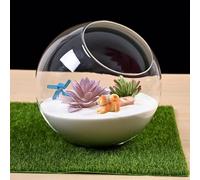 Glass Terrarium Plant Holder, Micro Landscape Glass Vase, Slant Cut Plant Pot Clear Glass Vase Succulent Holder Tebletop Decor Decorative Container Bowl (B)