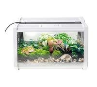 Glass Terrarium Reptiles Feeding Box Transparent Transport Box for Snails Spiders Hamsters Snakes Tortoise Breeding Box for Spiders, Horned Frogs