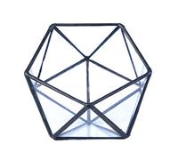 Glass Terrarium Storage Box Jewelry Holder Glass Geometric Tabletop Plant Box Planter Holder For Case Black Go Storage Boxes With Lids Pretty White