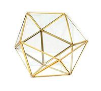 Glass Terrarium Storage Box Jewelry Holder Glass Geometric Tabletop Plant Box Planter Holder For Case Black Go Terrarium Large