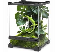 Glass Terrarium with Lockable Mesh Lid & Ventilation for Reptiles, Amphibians, and Small Pets