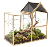 Glass Terrarium with Vents House-Shaped Jumping Spider Enclosure gold | 22x12x22cm Reptile Terrarium with Locking Front Door Top Ventilation Holes, Easy Wipe Clean, Multipurpose Use