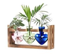 Glass Terrariums for Plants - Heart Shape Plant Terrarium Propagation Station - Flower Vase with Wooden Stand, Tabletop Planter for Hydroponics Home Decoration Garden Decor