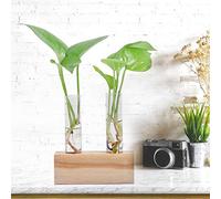 Glass Test Tube Flower Pot Hydroponic Pl Vase Terrarium Container Home Decor with Rack Brings Modern Touch to Any Space Making It Addition to Home