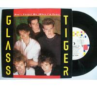 Glass Tiger - Don't Forget Me (When I'm Gone) - Glass Tiger 7" 45