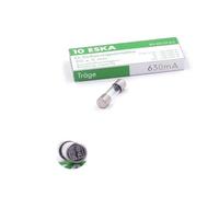 Glass Time Delay Fuses, 630mA, 250V AC, 5x20mm, Pack of 10