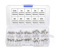 Glass Tube Fuse, 100 PCS Fast Blow Fuses Quick Blow Car Tube Fuses Assorted Kit 0.2A 0.5A 1A 2A 3A 5A 8A 10A 15A 20A