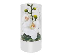 Glass Tube Vase with White Flowers and LED Lights 20 cm