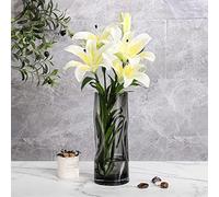 Glass Vase 30cm Tall Flower Pot Handmade Flower Posy Large Vase for Home Décor Vases for Large Stemmed Flowers (Smoky Grey)