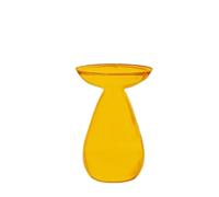 Glass Vase Hydroponic Vase Glass Avocado Seed Starter Plant Growing Kit(Color 2)