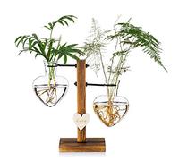 Glasseam Glass Plant Terrarium with Wooden Stand, Heart Hydroponic Vases