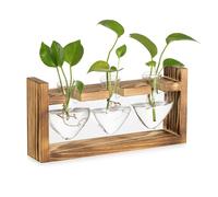 Glasseam Glass Propagation Station for Plant: Small Flower Vase with Vintage Wooden Frame Set for Indoor House Kitchen Window Desk Decor - 3 Bud Vases Terrarium Plants for Hydroponic Herb Rose Cutting