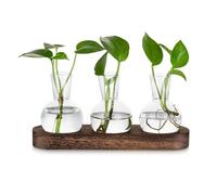 Glasseam Propagation Station for Plant Lovers: 3 Glass Vases with Brown Wooden Tray for Planters Living Room Table Decoration - Desktop Terrarium Hydroponics for Flowers Plants Cuttings Herbs
