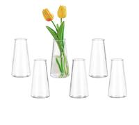 Glasseam Small Flower Vase for Table: 6 Pcs Clear Glass Bud Vases