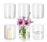 Glasseam Small Glass Cylinder Vase: 6 Pcs Bud Vases Hurricane Candle Holder