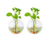 Glasseam Wall Hanging Glass Planters 2Pcs Spherical Shape Plant Pots Terrarium Container Vase with 2.12 OZ Colorful Stones Indoor Outdoor for Home Garden Office Wedding