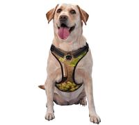 Glasses Of Wine With Wine Bottle And Grapes,Pet Harness,Adjustable Reflective Dog Harness,Pet Leash Vest,L