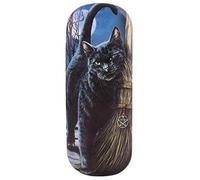Glasses/Spectactle Case/Holder ~ Brush with Magik (Cat) Lisa Parker