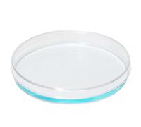 Glassware Labware 10pcs 35/60/70/90/100/120/150mm Petri Dish Sealed(150mm)