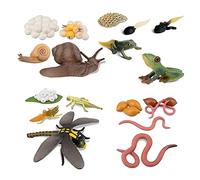 Glayent Life Cycle of Frog Snail Earthworm Dragonfly, Egg Tadpole to Frog Safariology Amphibian FigurinesToy Kit, School Project