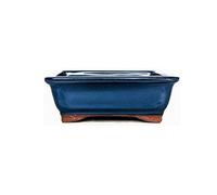 Glazed Ceramic Bonsai Pots without trays (Metallic Blue, 18cm)
