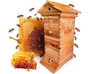 GLBMXDD Wooden Bee Hive House, Self-Flowing Honey Beehive with Observation Window and Honey Spout, Includes Carpenter Bee House, for backyard beekeeping or small-scale apiaries