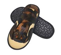GlbnSHeric Fuzzy Slippers for Men Women Non-slip Plush Shoes A cute dachshund Slippers Foam House Shoes M