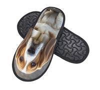 GlbnSHeric Fuzzy Slippers for Men Women Non-slip Plush Shoes Basset Hound Slippers Foam House Shoes L