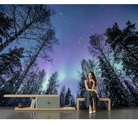 GLCWARM Birch Forest Under The Night Sky Photo Wallpaper 300X210Cm | Aurora View Wall Murals Violet Wall Art, Non-Woven Photo Wallpaper 3D Effect for Bedrooms Living Room